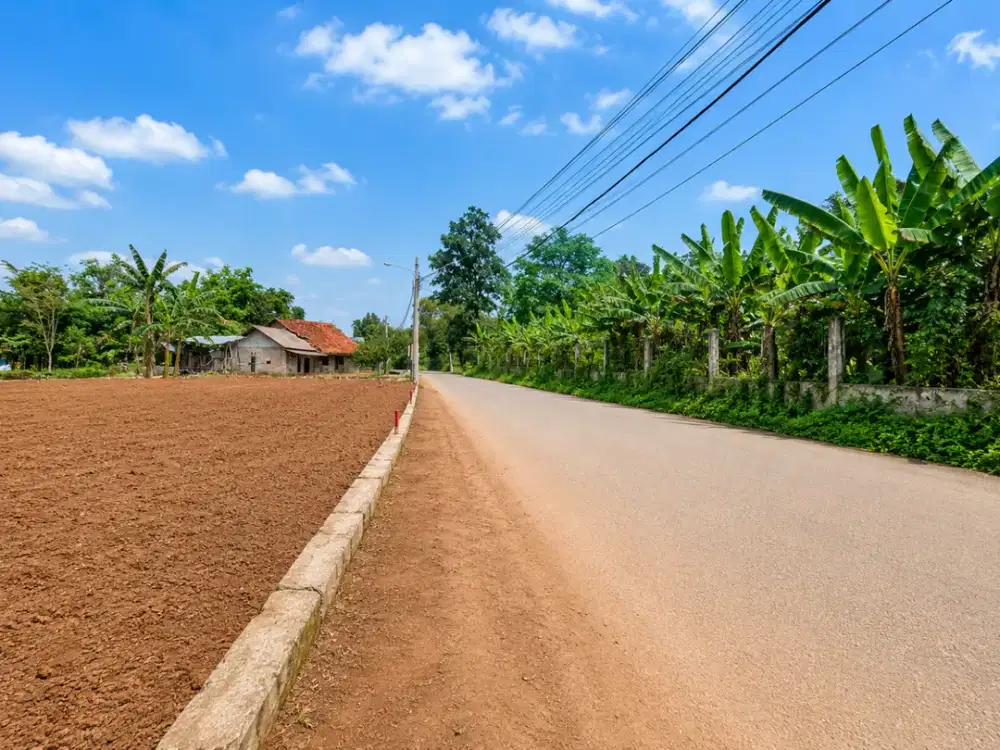 Miliki Kavling di Cisauk, Selangkah ke Hiera BSD dan Tol Legok