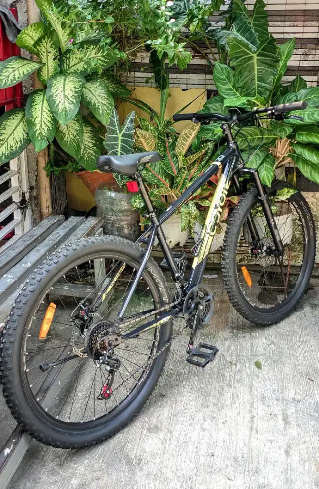 Sepeda mtb element coyote 27.5 glowing
