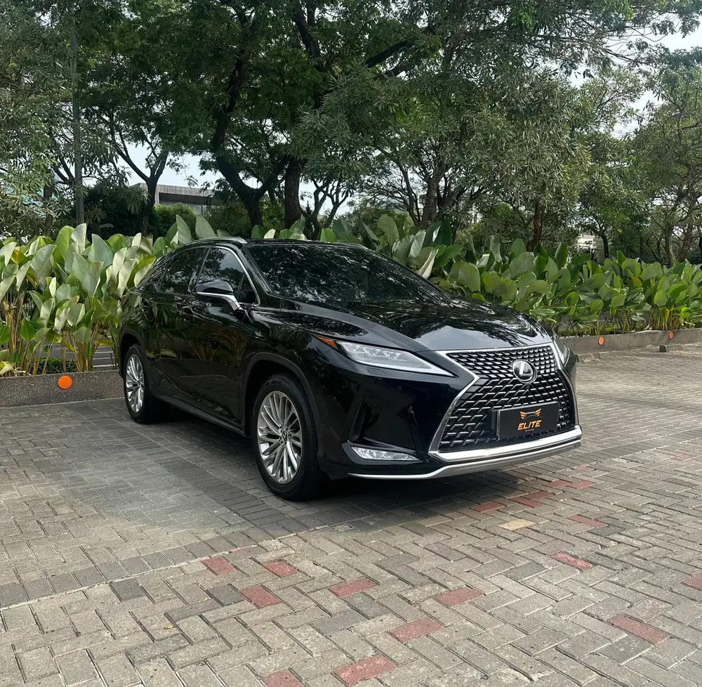 Lexus RX 300 Luxury 2020