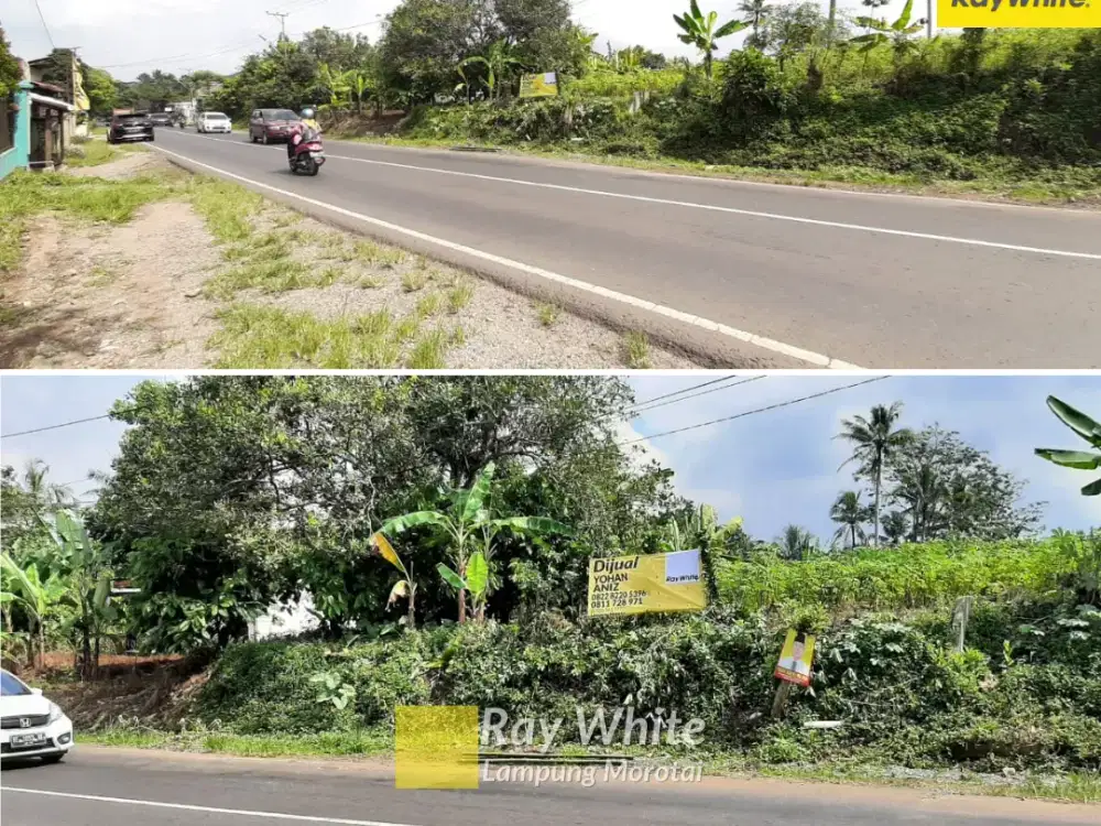 Dijual Tanah Bonus Bangunan Di JL. Lintas Barat, Wiyono, Pesawaran (kode : AY 3542)