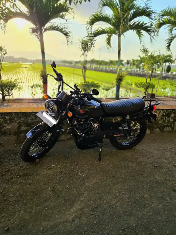 Kawasaki w175 black edition 2025