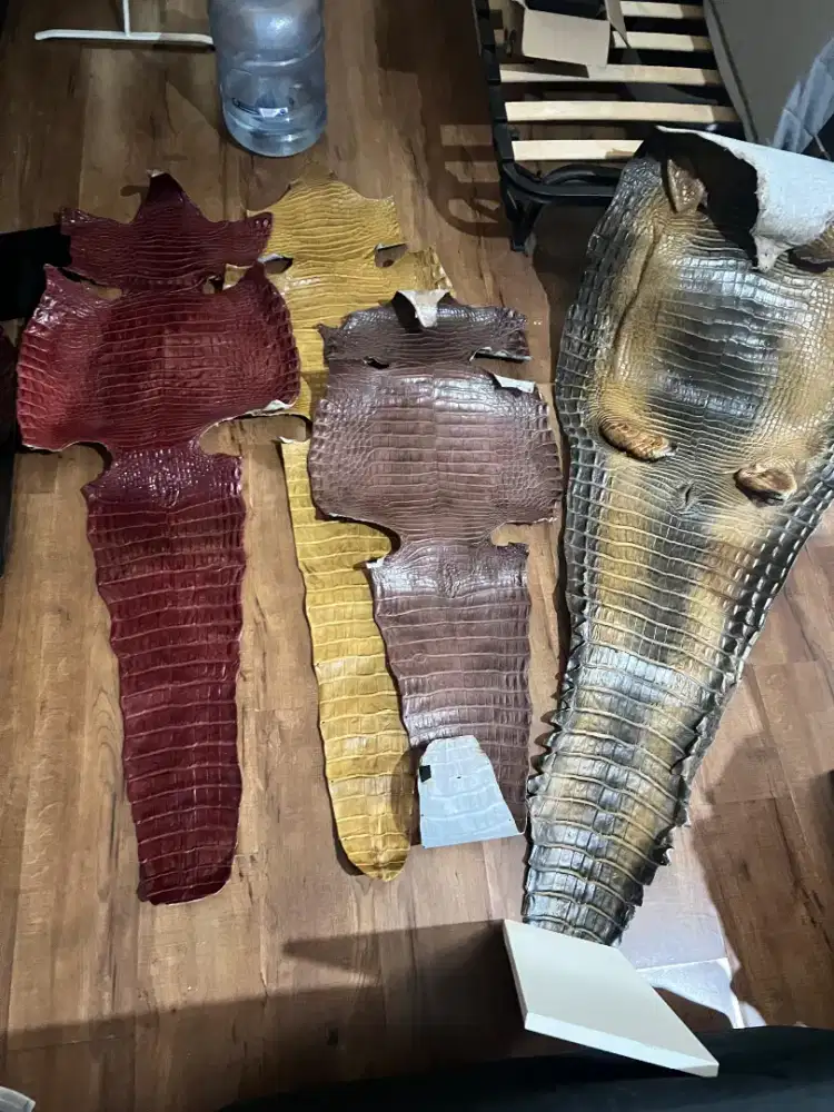 Original kulit buaya