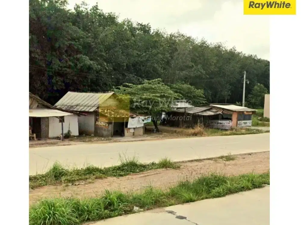 Dijual Tanah komersil di JL. Terusan Ryacudu, Jati Mulyo, Jati Agung (kode : AY 3545)