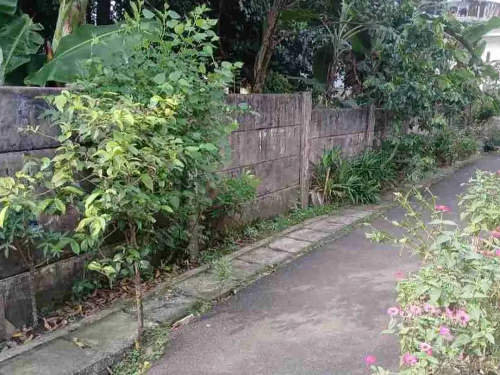 tanah kosong 1500 mtr