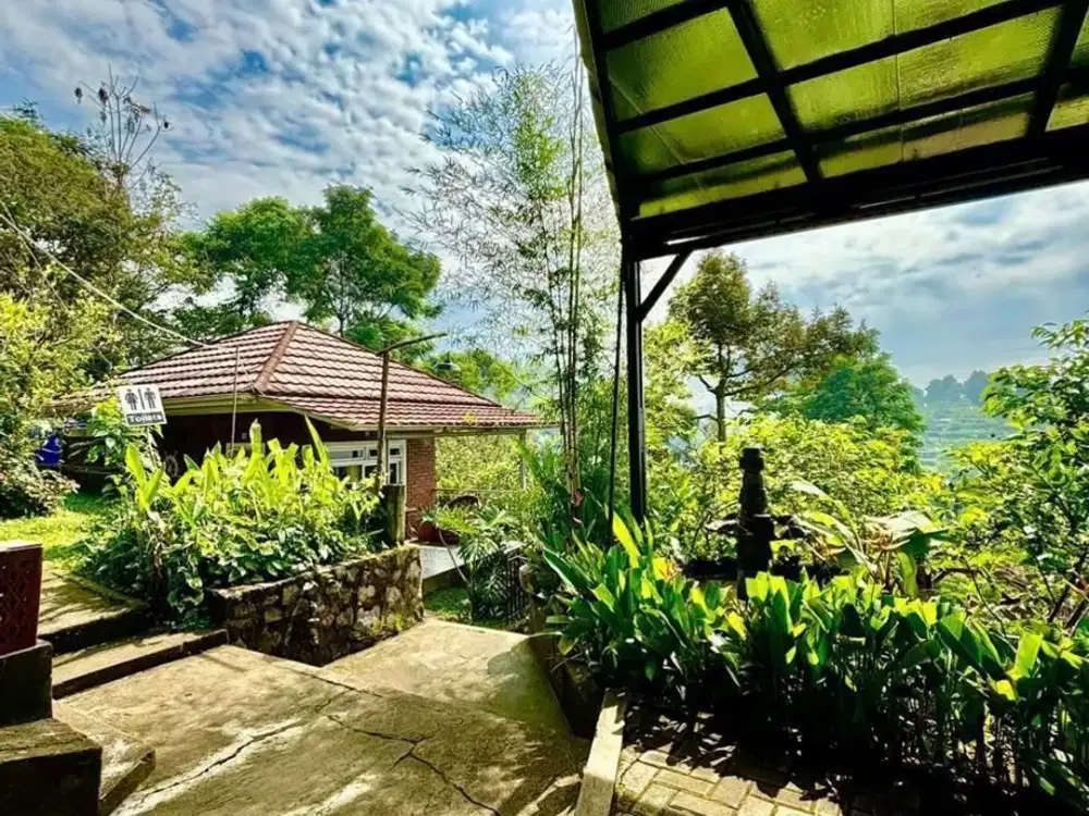 Harga Tanah Saja! Cafe Wisata + Villa + Bonus Kebun 1.169 m² di Bandung Utara