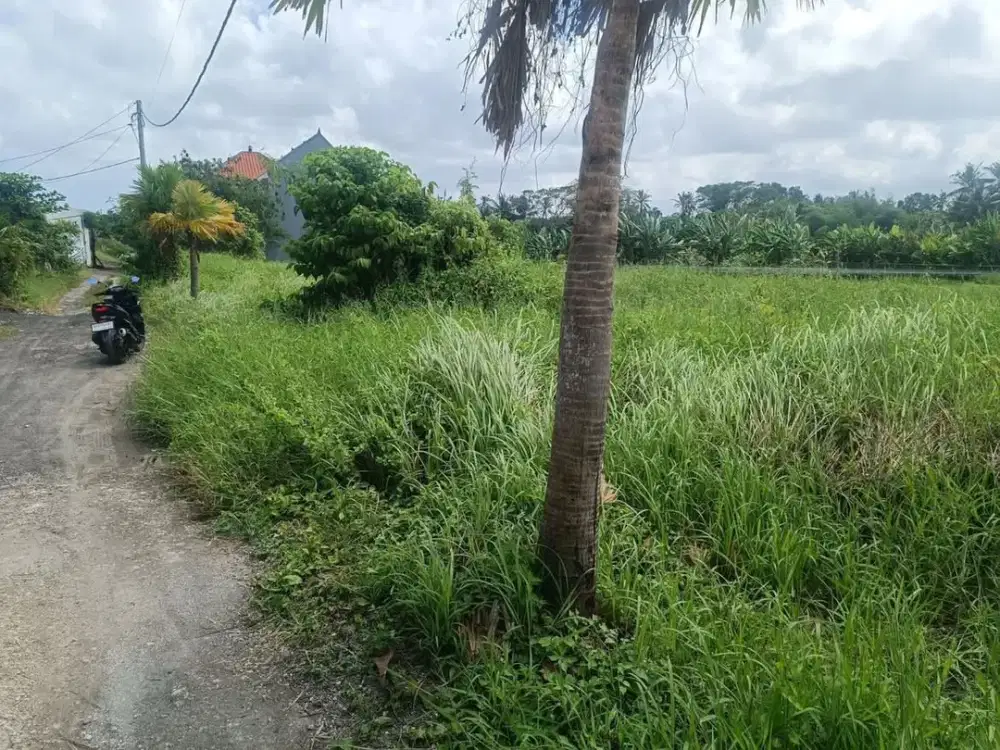 Dijual Tanah Tanah Lot Kedungu Kawasan Villa Cocok untuk Investasi dan Hunian Pribadi