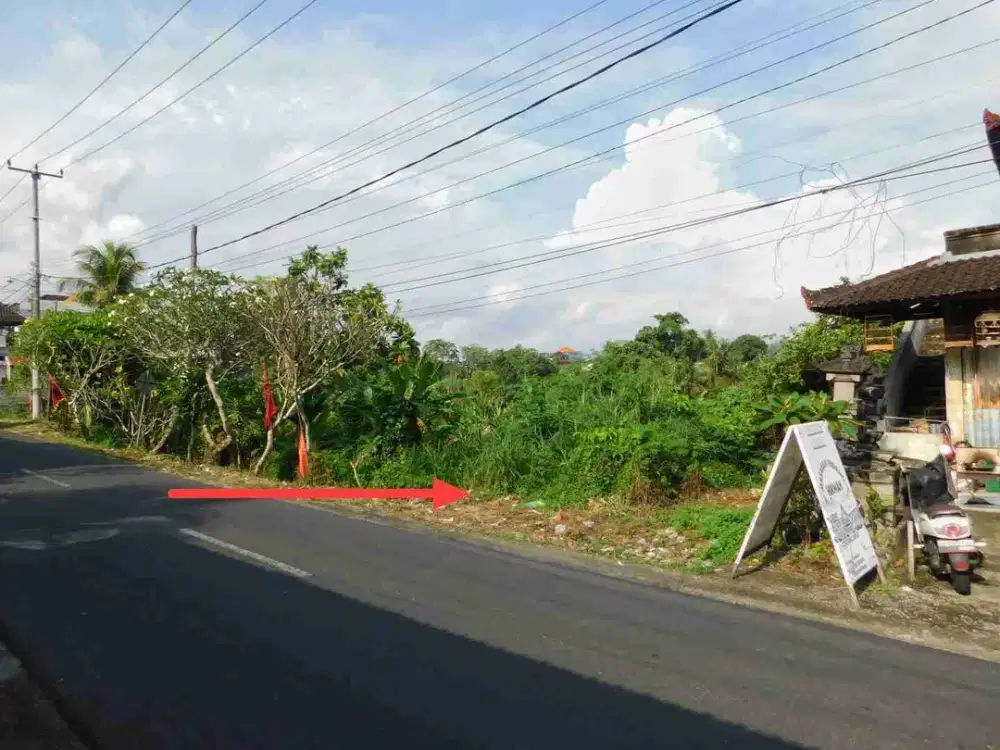 Tanah Tabanan Jalan Bypass Ir. Soekarno Jalan Utama