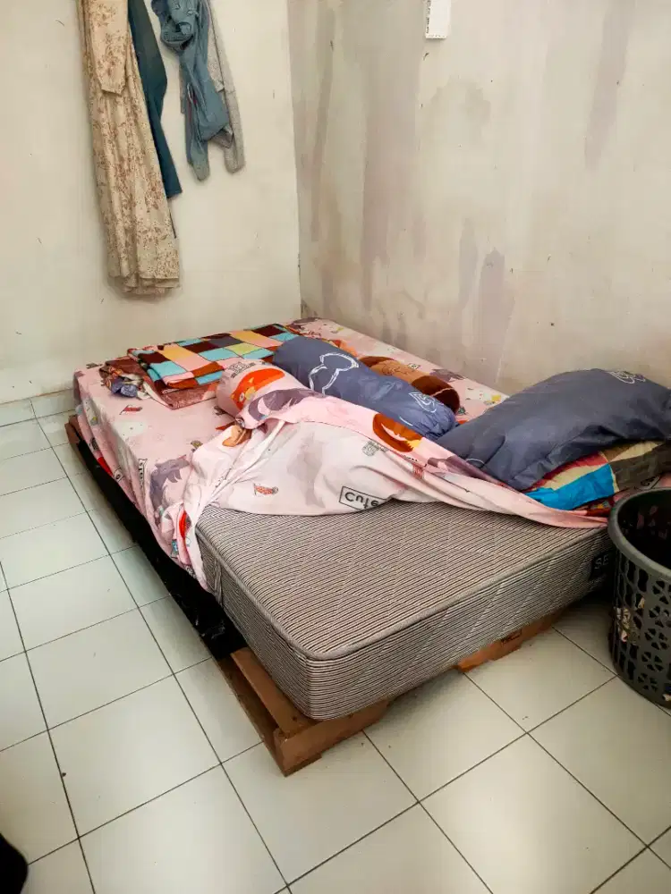 Jual Murah Springbed Edisi