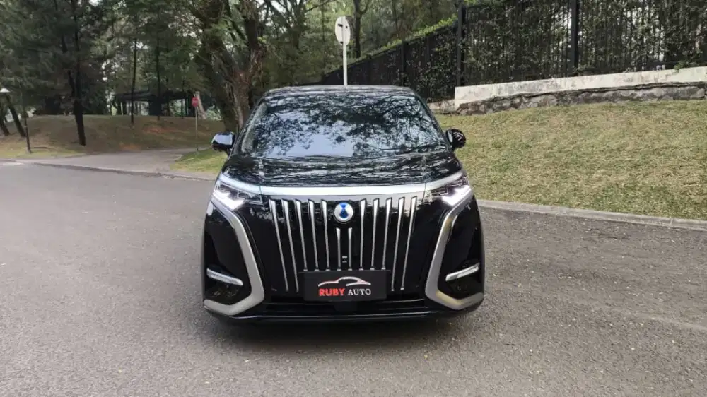 DENZA D9 EV 2025