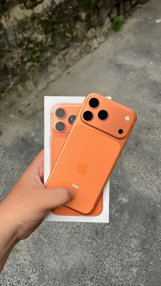 17 Promax 256 Orange iBox
