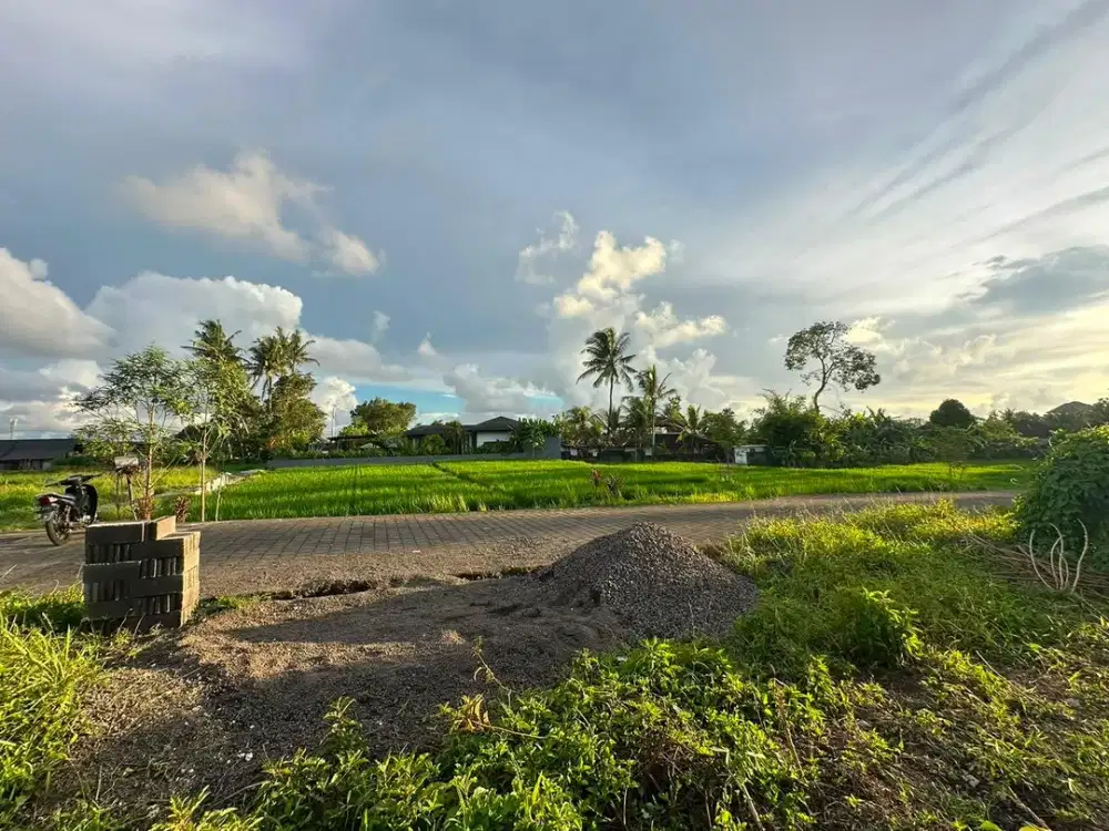 Tanah Strategis Dengan View Sawah Di Ubud, Gianyar