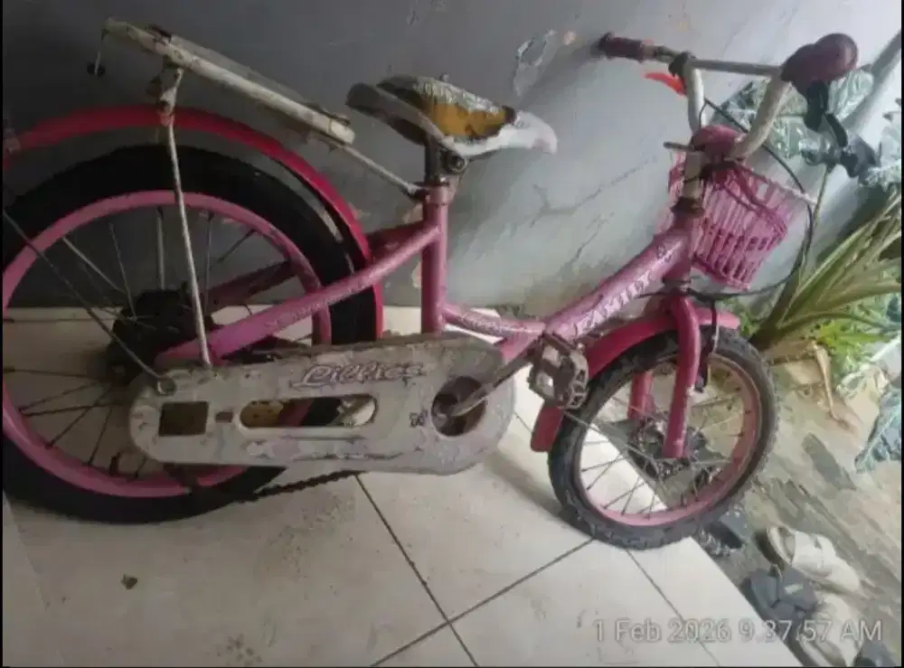 Sepeda family  anak cewek merek bisa gosend
