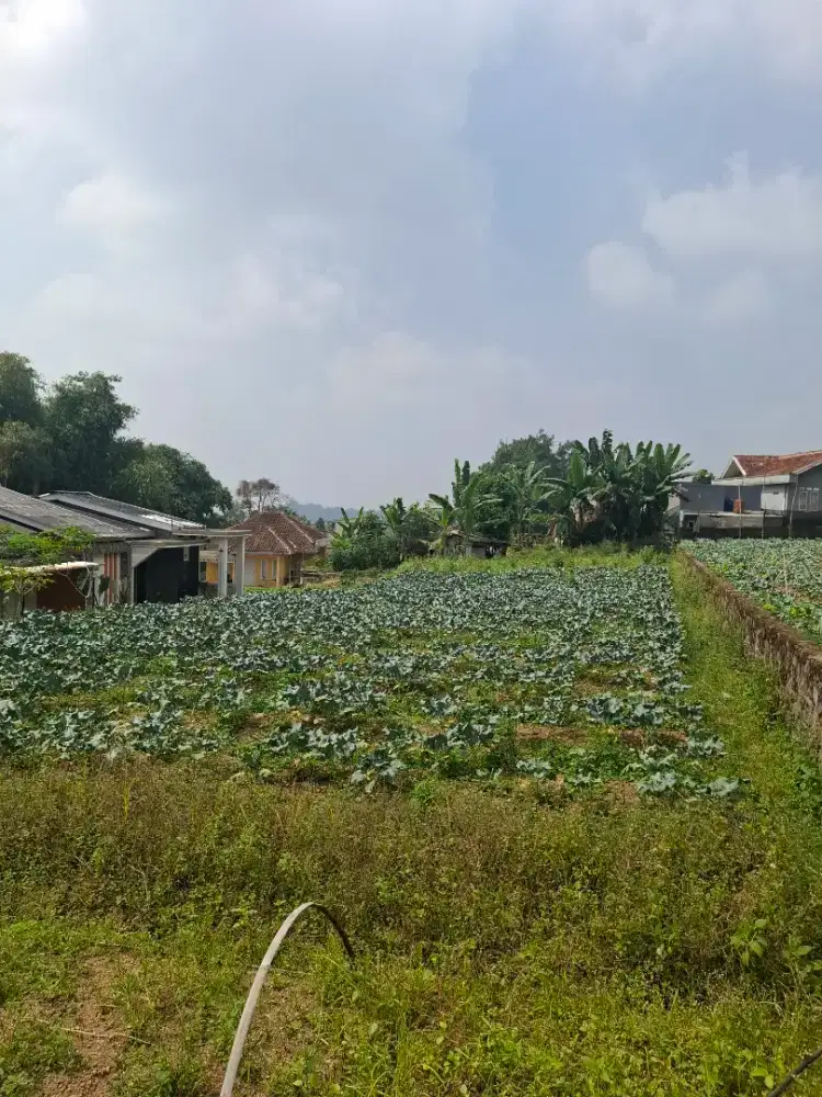 Dijual tanah kotak siap pakai shm 775 m