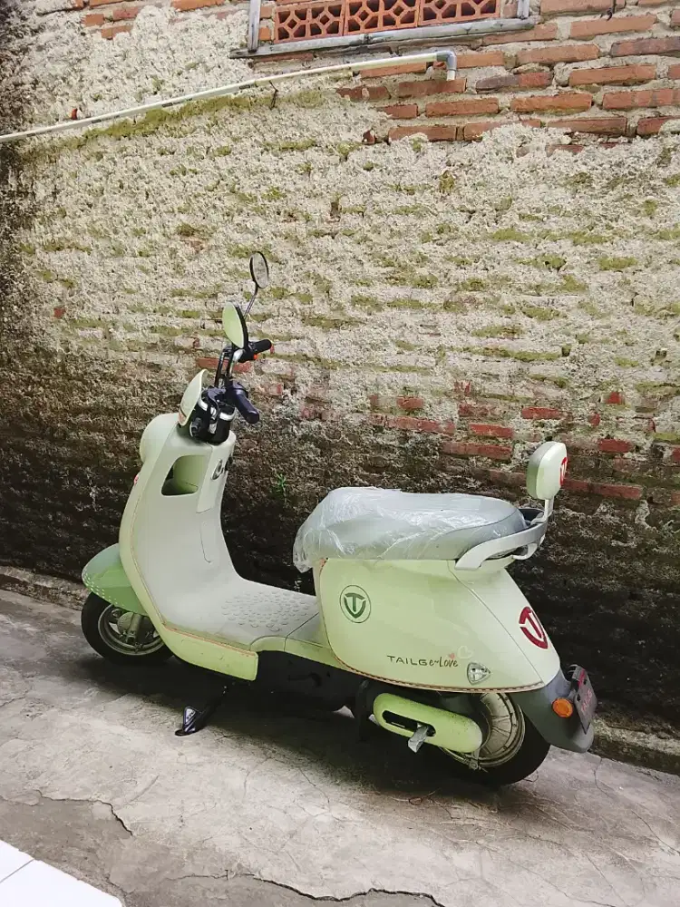 Dijual cepat, sepeda listrik tipe Tailg GR52