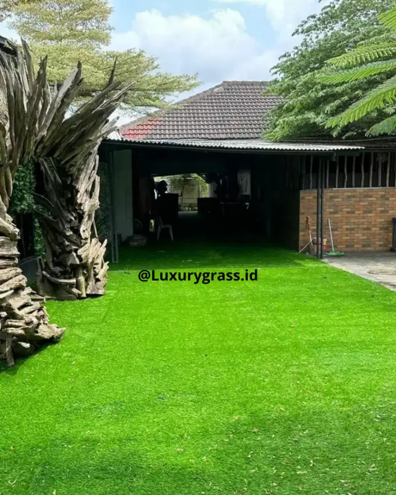 Rumput Sintetis Estetik, Bikin Rumah Makin Menarik