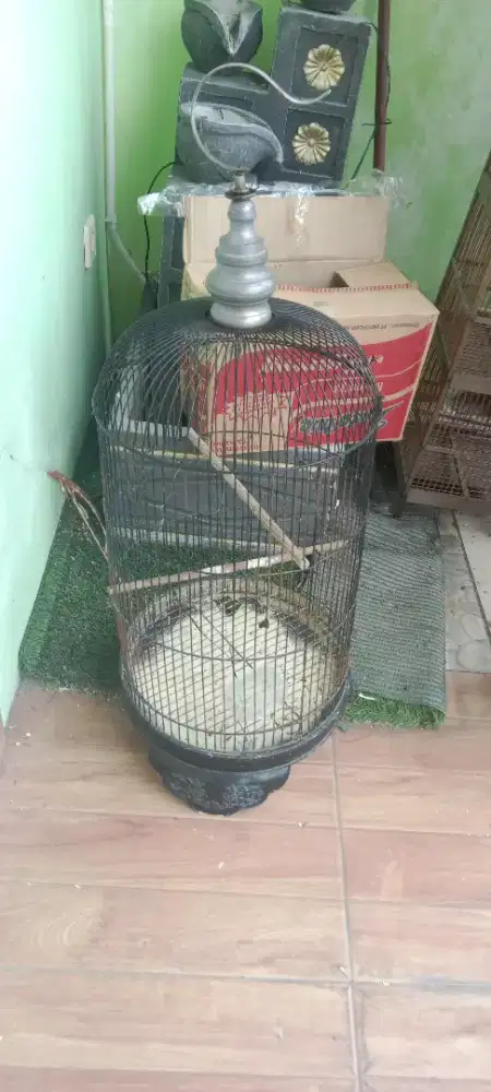 kandang lb sesuai pict