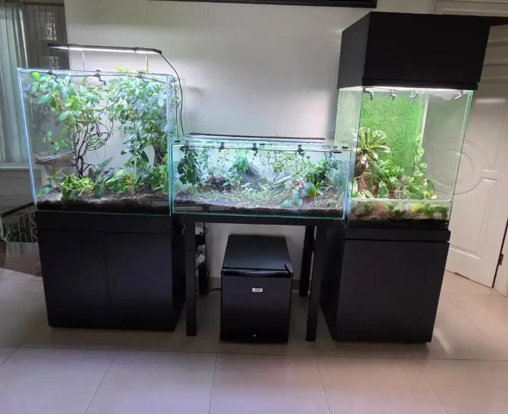 3 unit vivarium tank