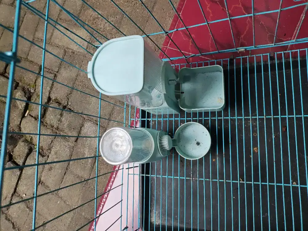 Kandang kucing bekas