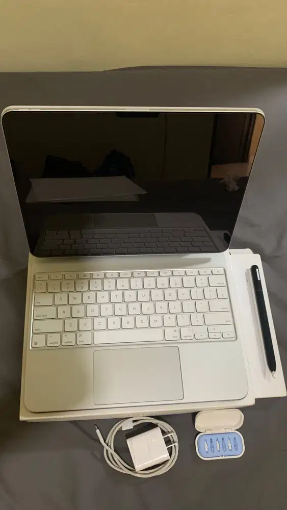 iPad Pro 13 inc M4 256GB
