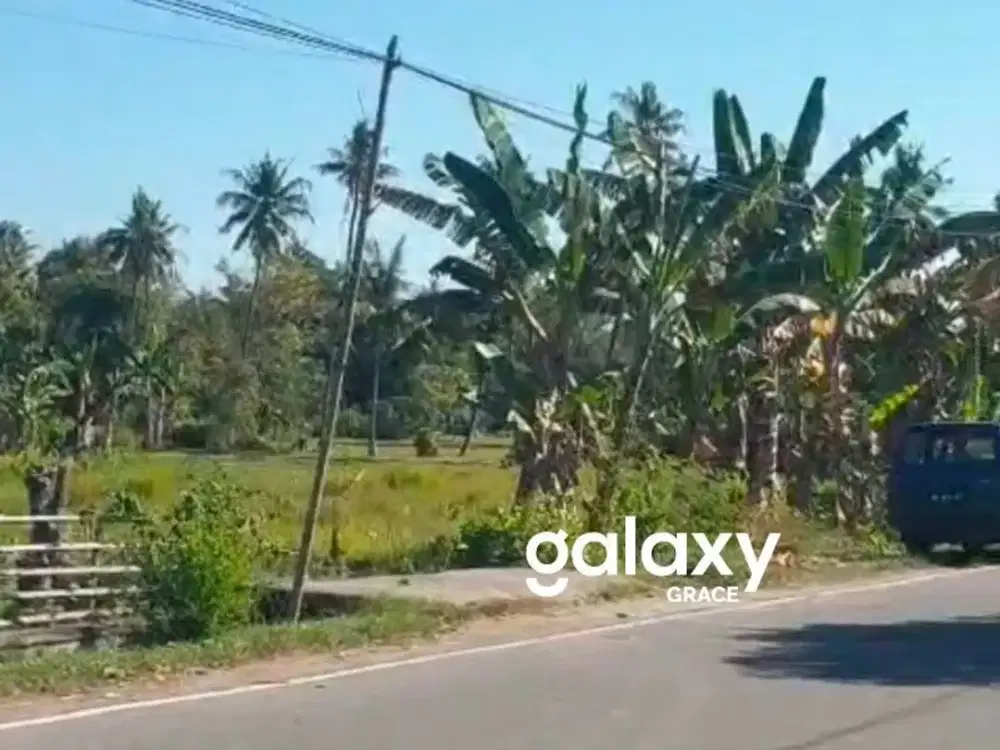TANAH KOMERSIL ZONA INDUSTRI DEKAT PELABUHAN CELUKAN BAWANG BULELENG