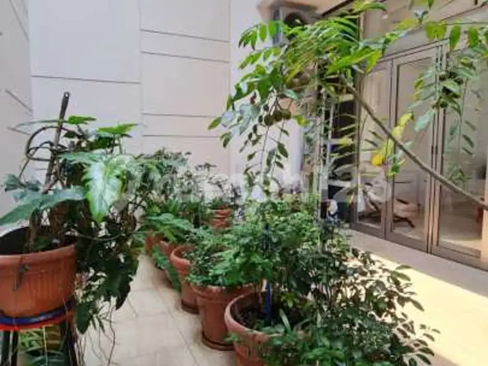 Dijual Rumah Cluster Chopin Golf Island, Pantai Indah Kapuk, Jakarta Utara