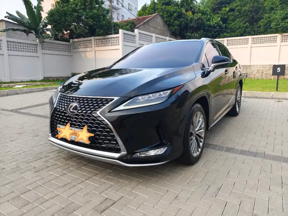 Lexus RX300t Luxury AT 2019 Full Original