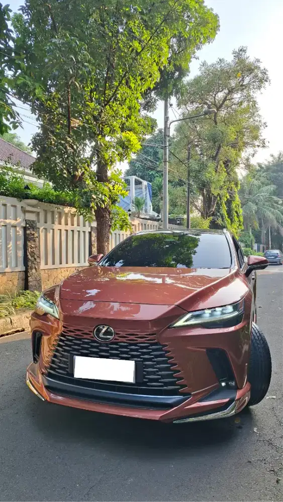 Lexus RX350h L style