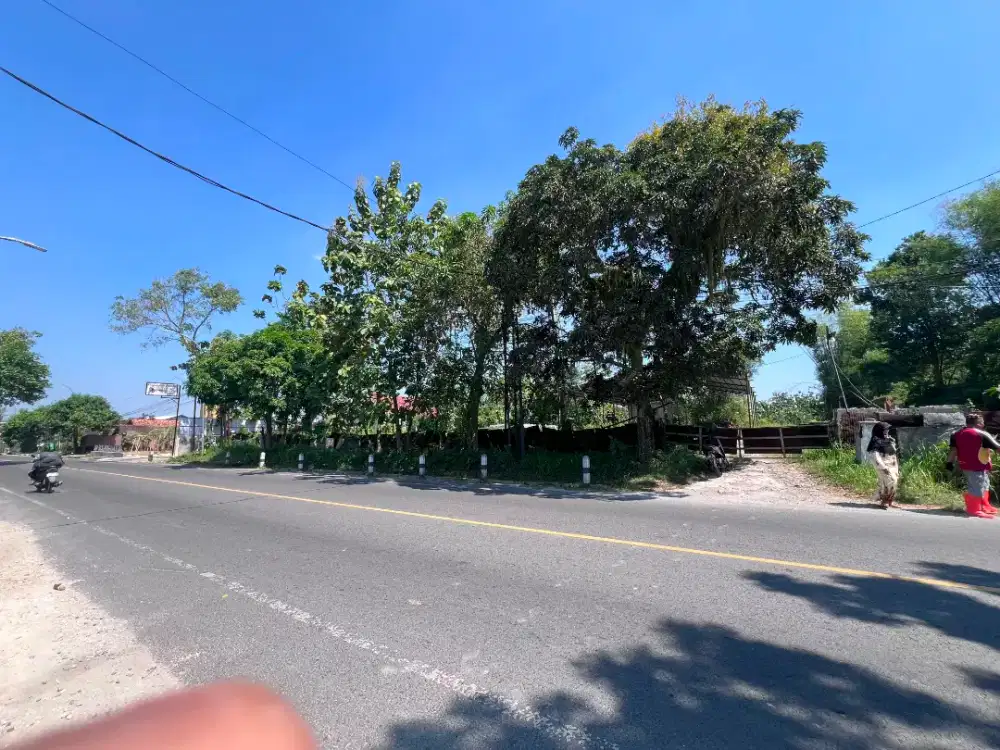 Dijual Tanah 3 Ha Pinggir Jalan Blora-Rembang Harga Nego
