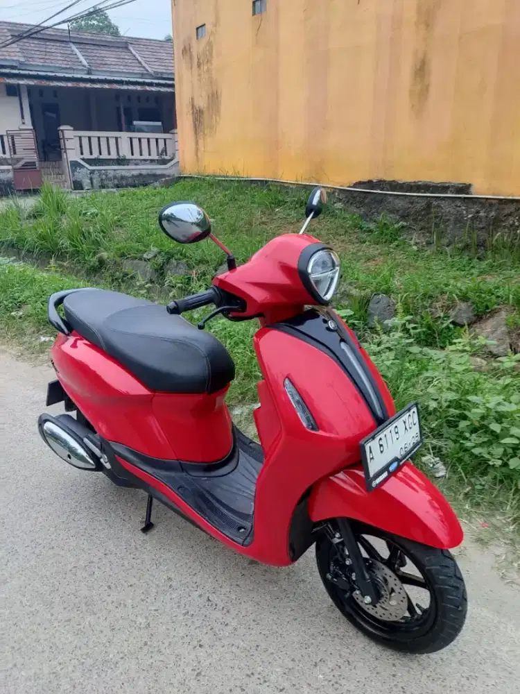 New Grand Filano Neo 2024