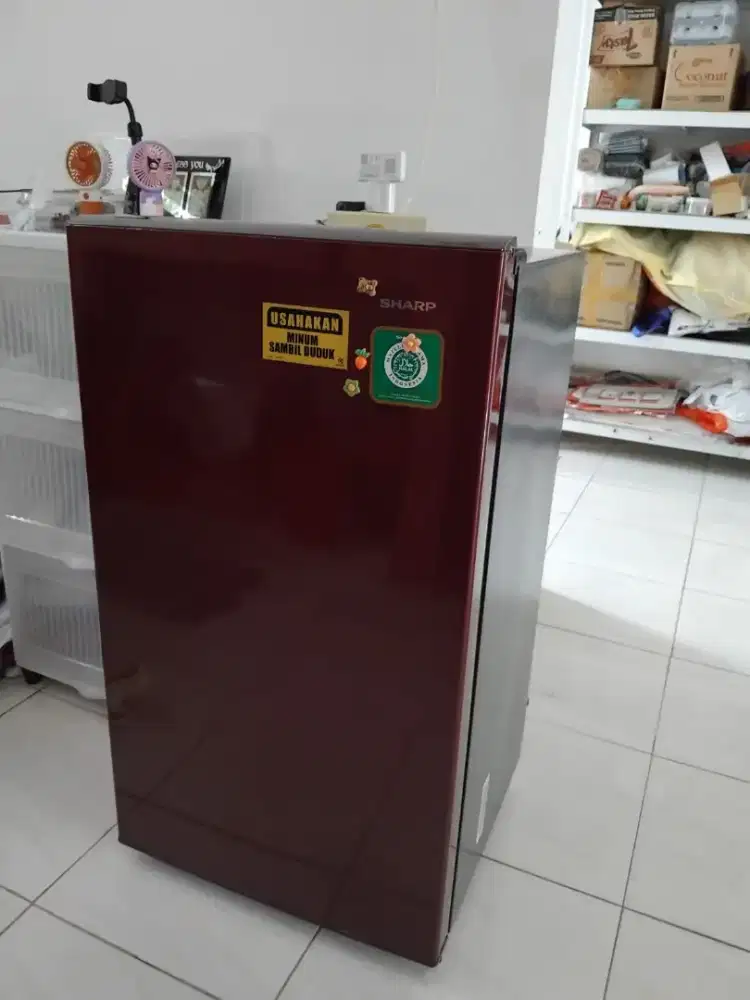 Kulkas 1 pintu (Super Dingin dan Beku)