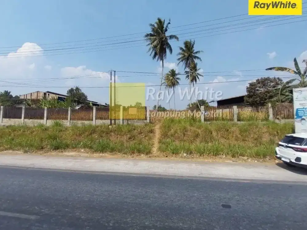 Dijual Tanah di Hajimena, Natar, Lampung Selatan (Kode : Ay 3549)