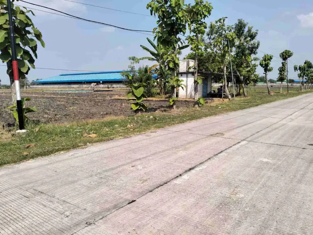 Dijual Lahan di Zona Industri Madiun Dekat Exit Tol