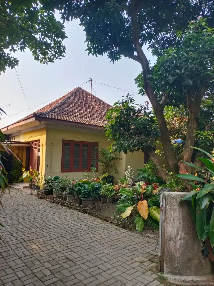 DIJUAL Rumah ditengah kota