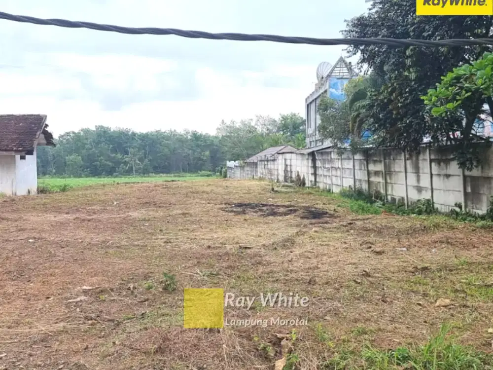 Dijual Tanah Di JL. Lintas Sumatera, Penawar Jaya, Tulang Bawang (Kode : Ay 3552)