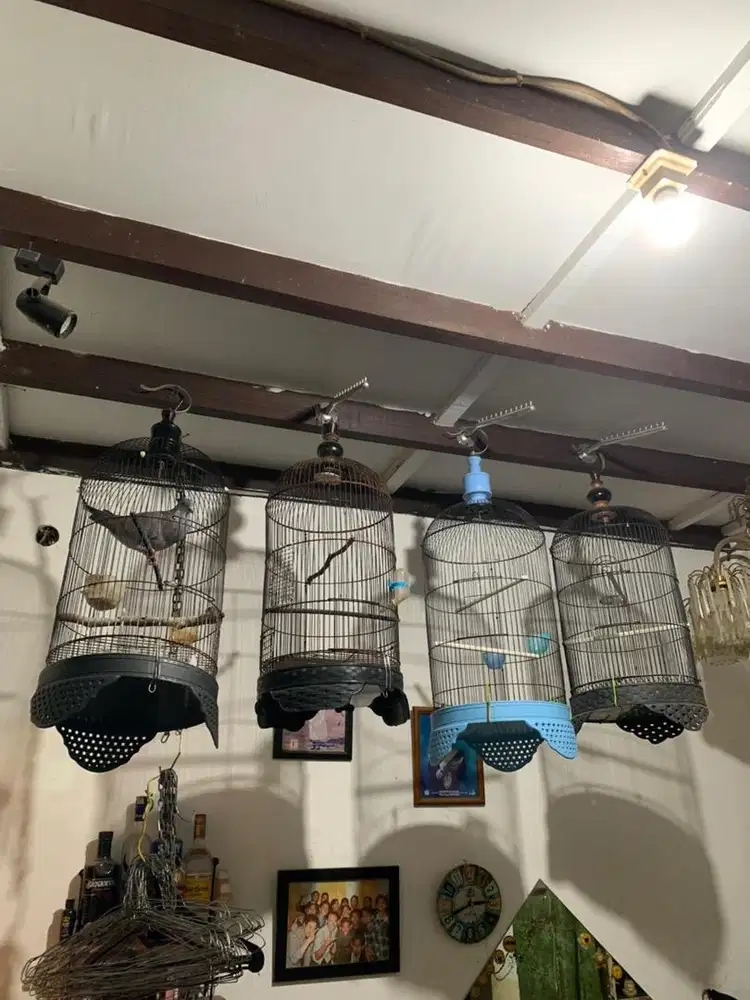 KANDANG BESI UNTUK PELIHARAAN