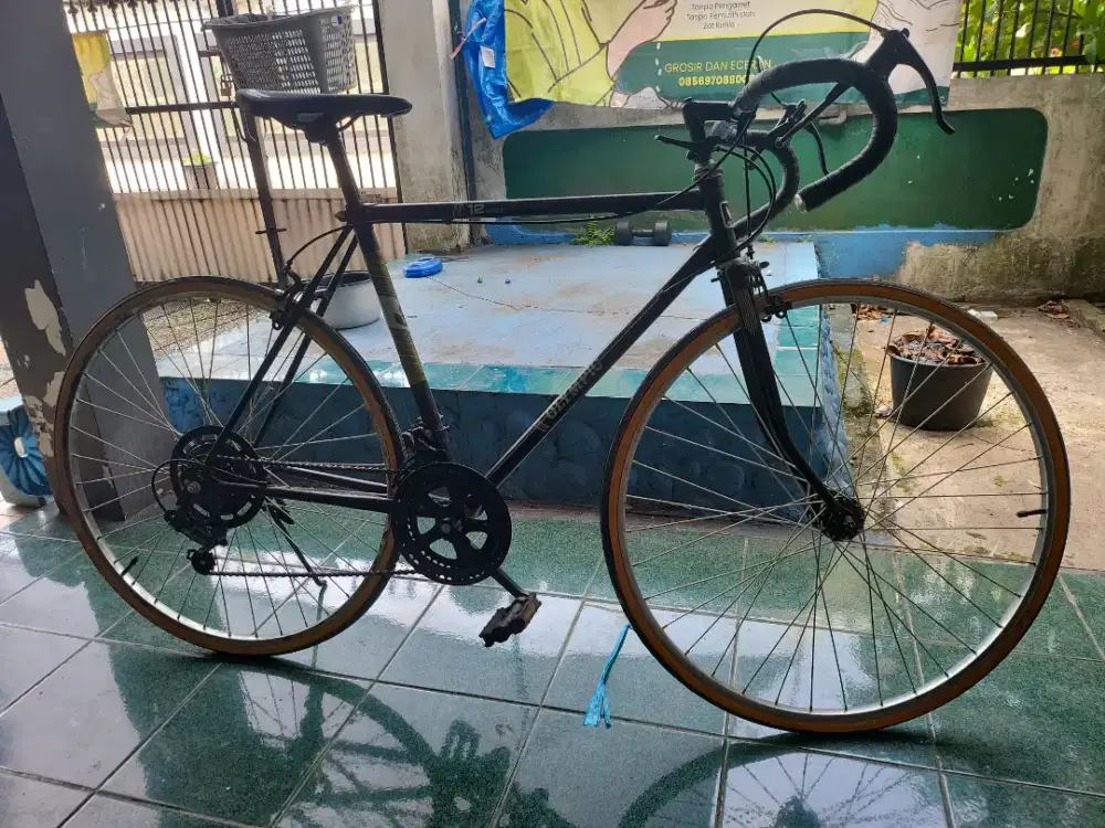 Olympic Road Bike 12 Speed