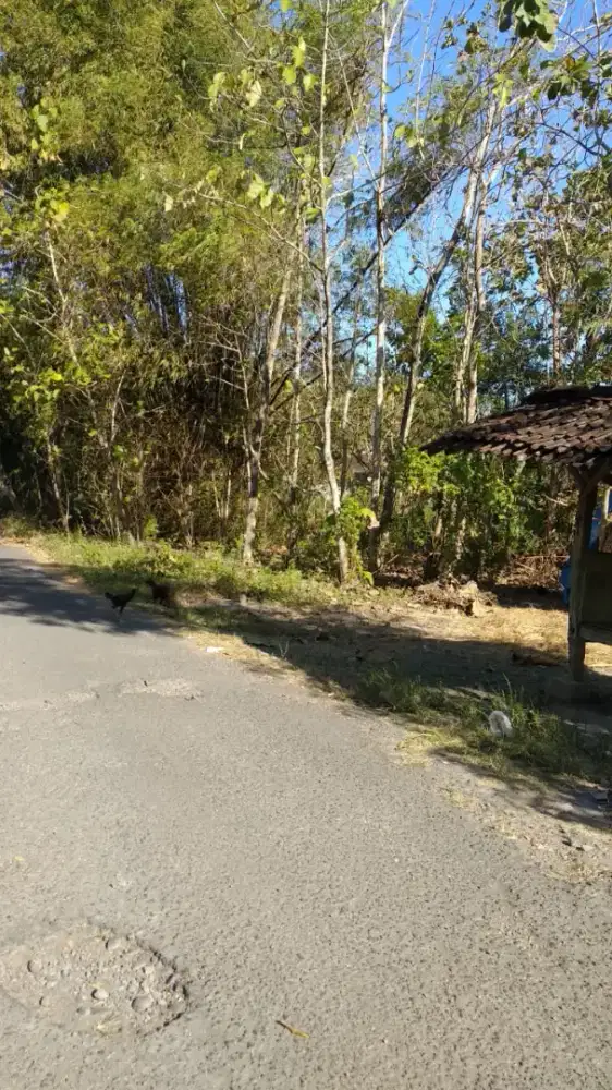 Dijual tanah pekarangan