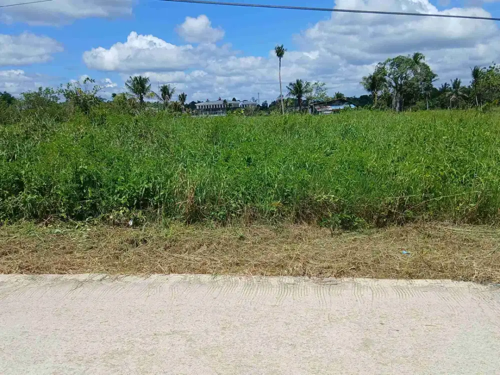 Jual Tanah 2 Hektar di Kota Sorong Km.14 Dekat Kantor Gubernur