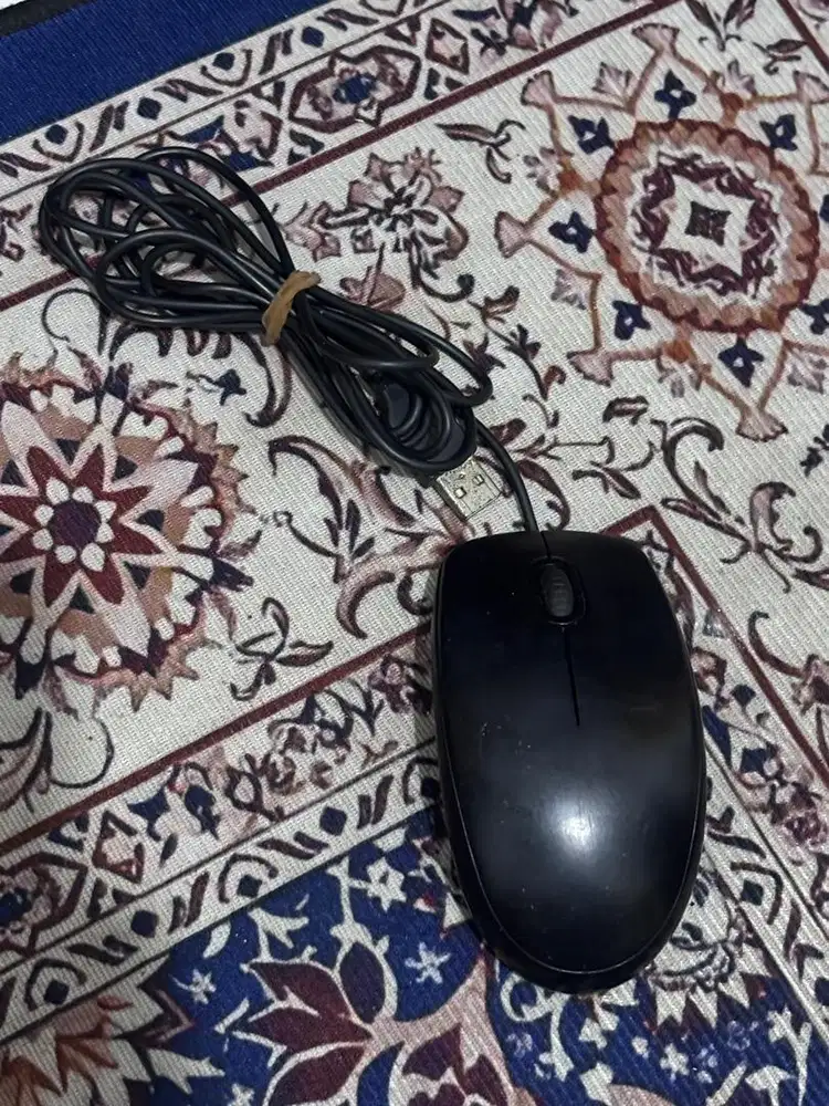 Mouse Logitech B100
