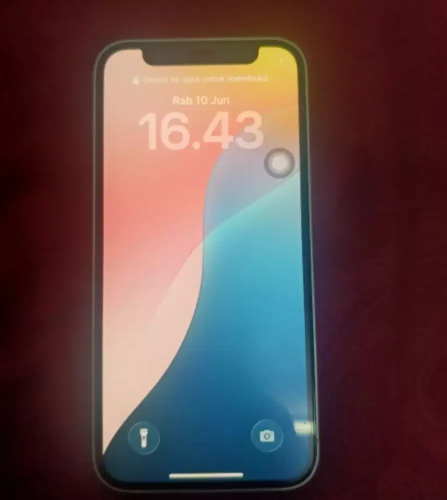 iphone 12 mini mulus