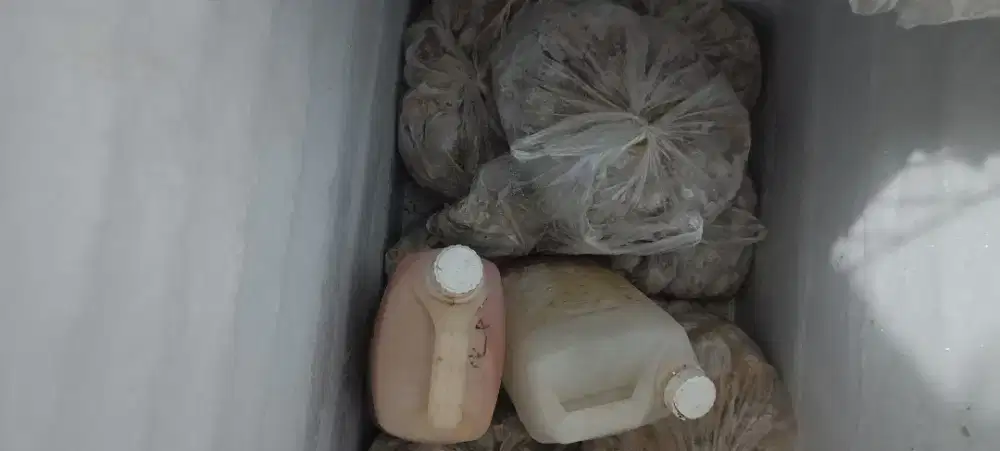 Di butuhkan pegawai pentol CEO