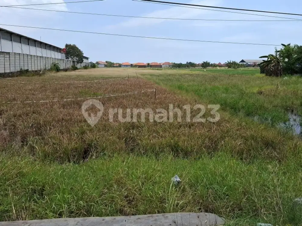 Dijual Tanah Lokasi Strategis Tepi Jalan Pantura Di Losari Cirebon