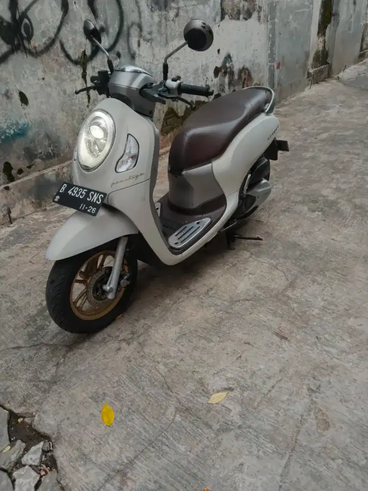 Scoopy keyles 2021