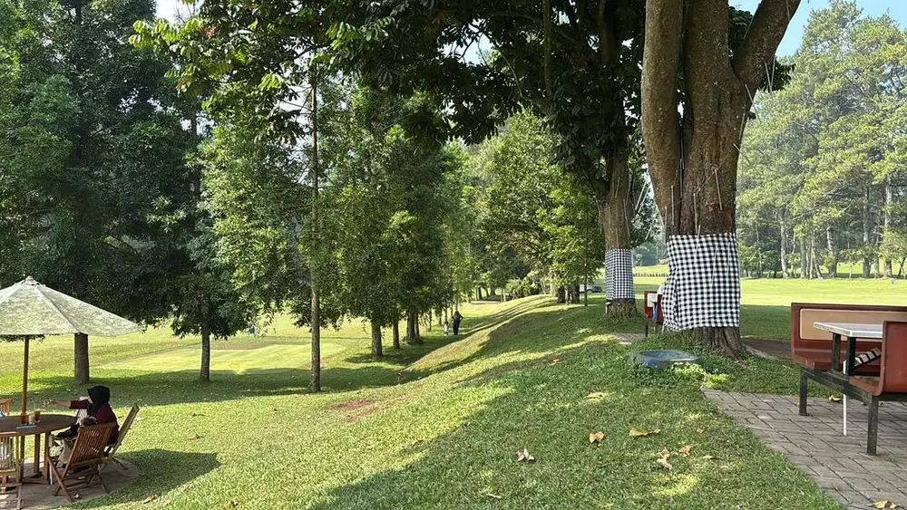 DIBUTUHKAN ART MENGINAP