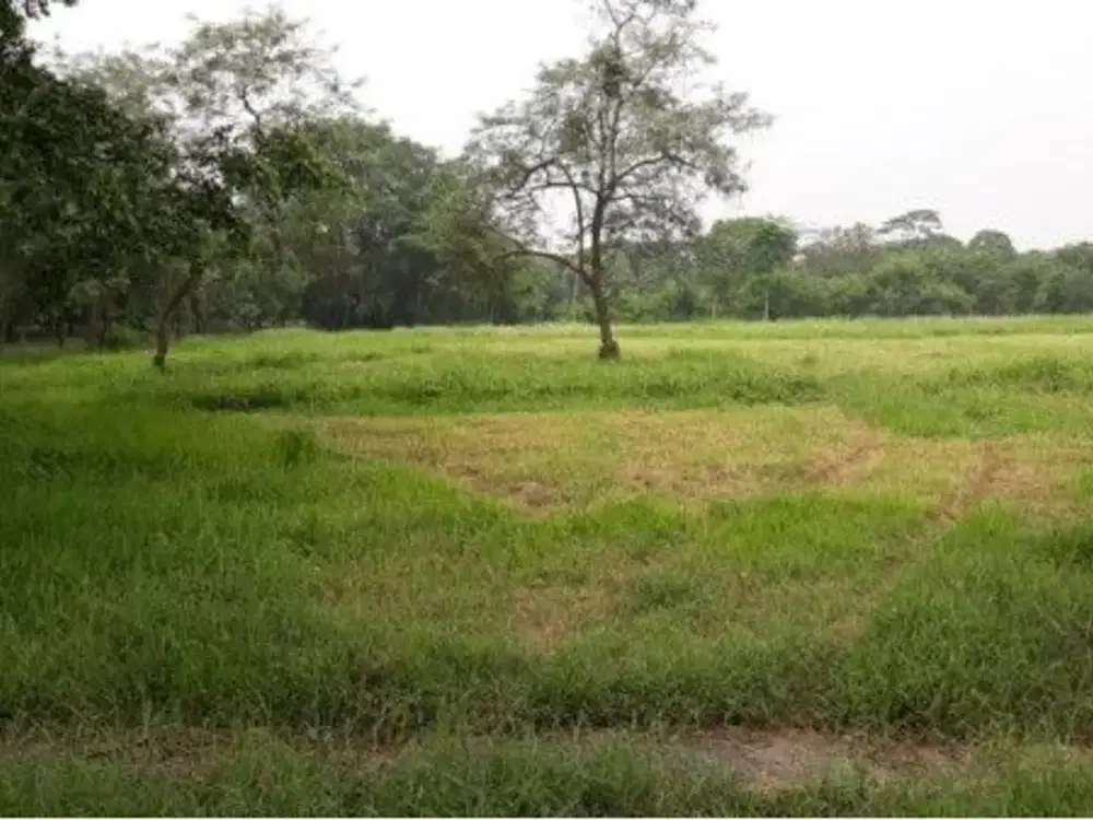 Dijual Super Murah Kavling Siap Bangun Lokasi Premium Taman Golf Selatan Jababeka Cikarang