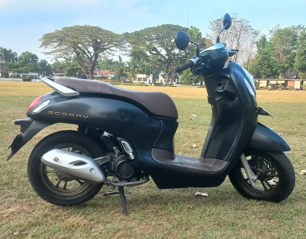 Scoopy Prestige 2024