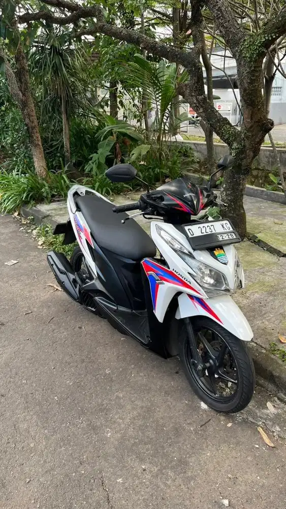 Vario techno 125 2013
