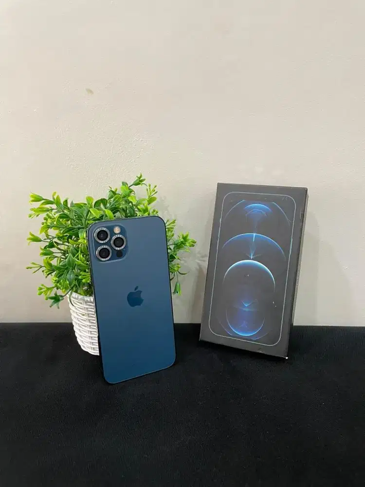 IPhone 12 Pro 256GB Pacific Blue mulus Fullset BH 100%  imei Bea Cukai