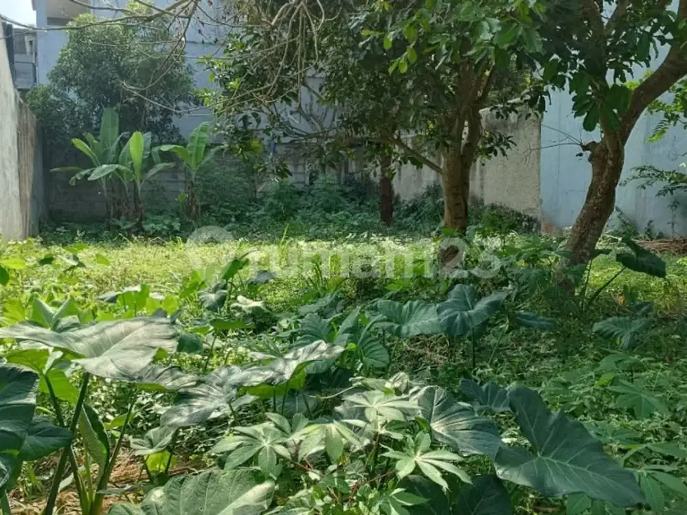 Tanah Kaling Murah SHM Bentuk Kotak Di Awiligar Bandung