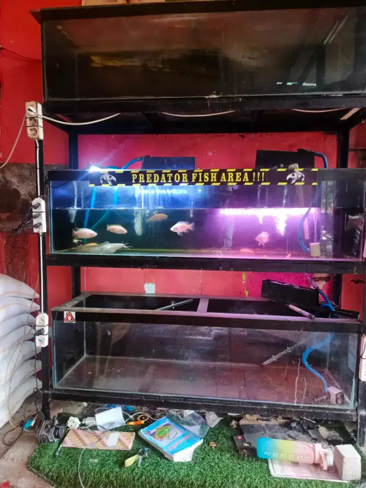 Aquarium Borongan